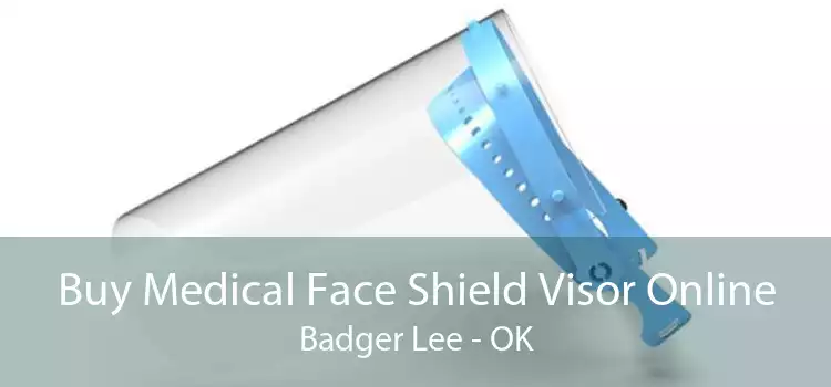 Buy Medical Face Shield Visor Online Badger Lee - OK