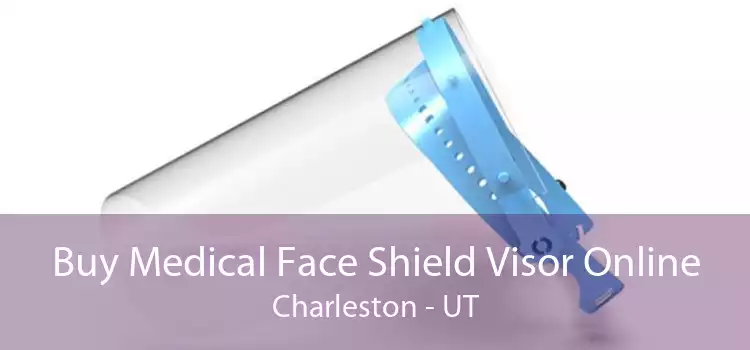 Buy Medical Face Shield Visor Online Charleston - UT