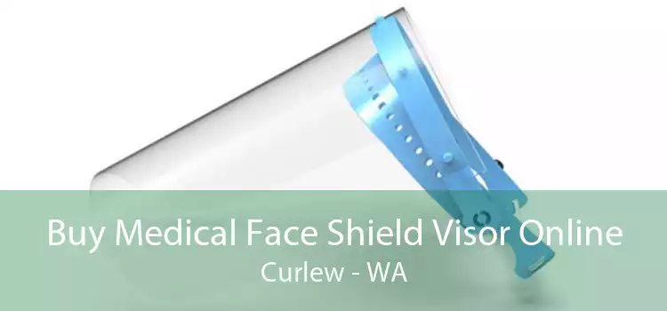 Buy Medical Face Shield Visor Online Curlew - WA